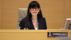 Gualda defiende en el Congreso el papel de la SEPI en Indra y Telefónica para proteger la seguridad nacional