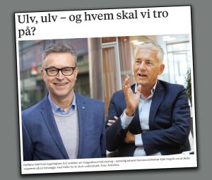 Bodø kommunes overskudd skyldtes egne kostnadskutt og pittelitt flaks