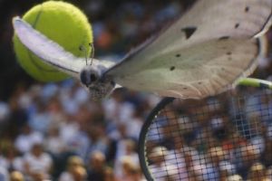 Wimbledon shows Centre Court action from a butterfly's perspective