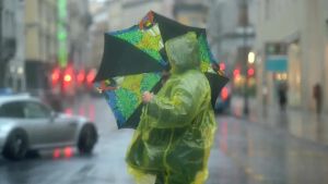 Allerta gialla in Friuli Venezia Giulia: previsti temporali forti tra mercoledì e giovedì