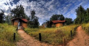Why Travellers Are Choosing This Village-Run Forest Lodge in Kanha Over Luxury Resorts