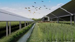 Torviscosa, maxi-parco agrivoltaico da 96mila pannelli: pronti per la Via, ma esplode la polemica sulle aree idonee