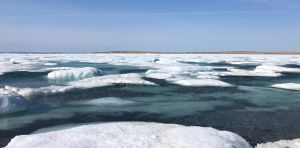 Researchers ask us to rethink the ways we see and study the Arctic