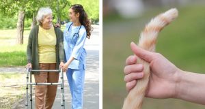High schoolers create device to keep seniors with Parkinson’s from falling, inspired by cats