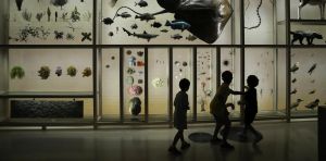 A day at the museum: How to follow kids’ leads to support curiosity across generations