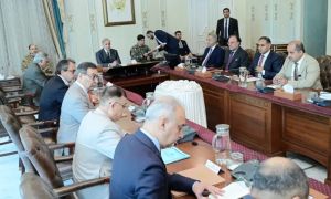 PM Shehbaz directs acceleration of DISCOs privatisation