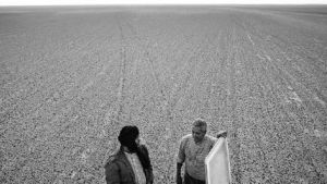 Sahara, ya nada sirve y todo vale