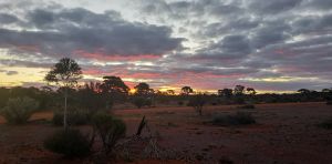 A meteorite impact may have once rained gold on Western Australia – new study