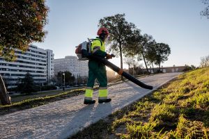 Mejorar y reforzar el sector social de la discapacidad