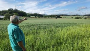 Millionenprojekt am Bodensee: Zwölf Hektar für Agri-PV vorgesehen