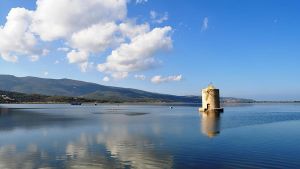 Il futuro della laguna: 