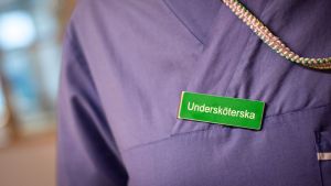 Undersköterskans yrkesroll i framtiden