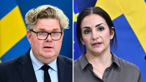 När kommer vitboken, Nooshi Dadgostar?