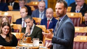 Innvandrermiljøene kan selv engasjere seg og ta et oppgjør med ukulturen