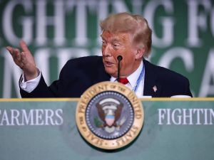 Kelly McParland: Trump is a wounded bear, Canada is an easy target