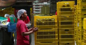 Van 23 meses de caídas en los registros patronales