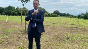 Conte: «Voglio restare sindaco di Treviso, ma se mi chiamano per Roma rispondo»