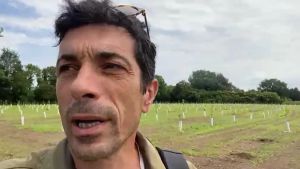 Nuovo bosco urbano di Selvana, ecco come nasce il polmone verde
