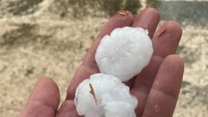 Allerta maltempo nella Marca, Pedemontana sferzata dalla grandine