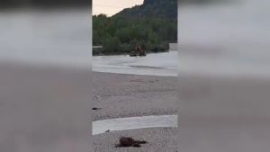 Tentano di guadare il Tagliamento con un pick-up ma restano in mezzo al fiume: coppia di turisti salvata dai vigili del fuoco