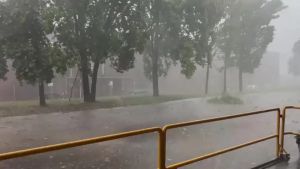 Pioggia e vento sul Friuli, alberi caduti e allagamenti: oltre un centinaio di richieste di soccorso giunte ai vigili del fuoco