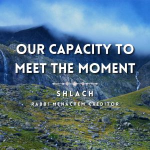 Our Capacity to Meet the Moment (Shlach)