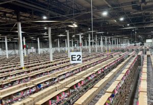 Alimentar la IA i destruir els llibres: el projecte Panamà