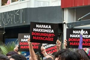 Devlet, nafaka, kadınlar…