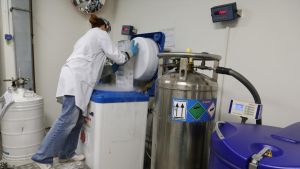 Ni Derecho ni ADE: las carreras con más empleo en España cuatro años después de graduarse