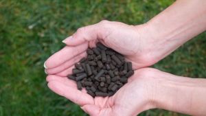 Hacia una industria local regenerativa para el campo