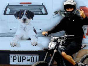 How smug Teals and activists judge your choice of transport