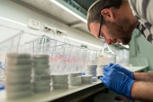 Live fast, die young: Israeli scientists link rapid-growth gene to early aging in fish