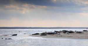 BBC show broadcasting from north Norfolk coast next week