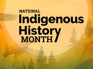 Explore National Indigenous History Month at the library