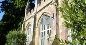 Tea room left ‘disappointed’ as visitors leave litter and dog mess