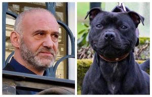 Mort d’Elisa Pilarski : son compagnon condamné pour homicide involontaire, le chien Curtis sera euthanasié