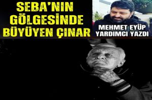 Seba'nın Gölgesinde Büyüyen Çınar