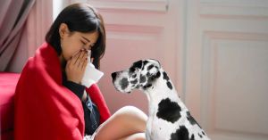 When a Doctor Says “The Dog Must Go,