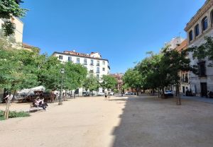 De plazas y pajas