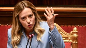 Meloni rinnovabile