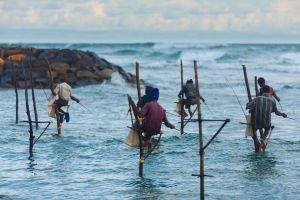 Opinion – Traditional Knowledge and its Role within the BBNJ Agreement