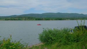 Na Gružanskom jezeru pomor ribe zbog virusa, nisu ugroženi potrošači vode sa akumulacije