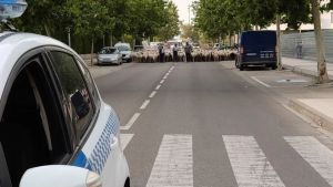 Cartas al director de HERALDO: Ovejas en Huesca