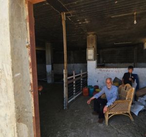 Palestinians allege methodical, ‘coordinated’ attack after sheep stolen, residents hurt