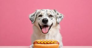 We Eat 23 Percent More Than We Did in the 1970s