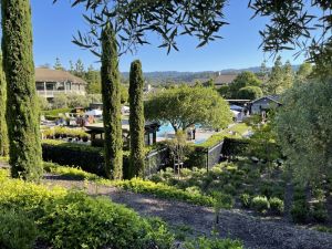 Korean superstars film anniversary dinner at ultra-luxe Bay Area hotel