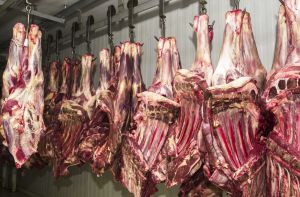Os erros do governo Lula que fizeram o Brasil perder o mercado de carnes europeu