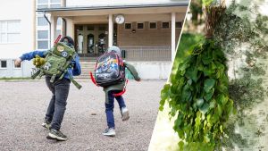 Koulutus | Vielä kerran Suvivirrestä – tässäkö ratkaisu ikikiistaan?
