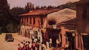 Un leccio per cento anni. Grande festa per il circolo
