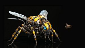 Asiática: La avispa Teminator